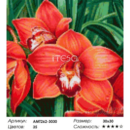 Сложность и количество цветов Алая орхидея Алмазная мозаика на твердой основе Iteso