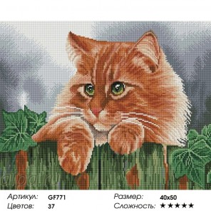 Сложность и количество цветов Рыжий кот Алмазная мозаика на подрамнике GF771
