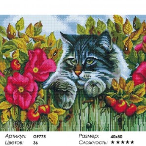 Сложность и количество цветов Пушистый кот Алмазная мозаика на подрамнике GF775