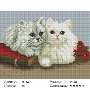 Сложность и количество цветов Пушистые котята Алмазная мозаика на подрамнике EF174