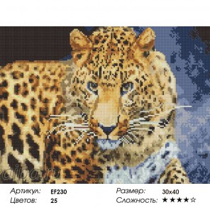  Леопард Алмазная мозаика на подрамнике EF230