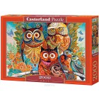 Внешний вид коробки Совы Пазлы Castorland