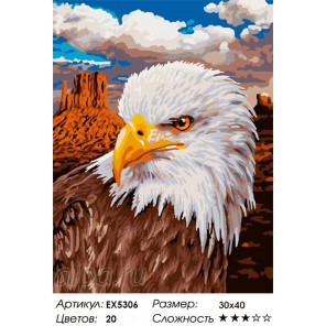  Белоголовый орлан Раскраска по номерам на холсте EX5306