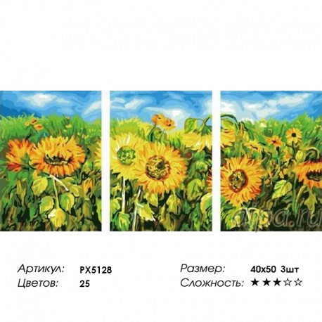 Сложность и количество цветов Поле подсолнухов Триптих Раскраска по номерам на холсте PX5128