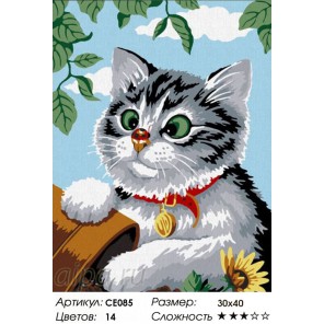  Котёнок Раскраска по номерам на холсте CE085