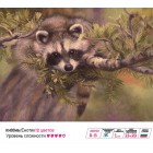  Енотик Раскраска мини по номерам KH0046