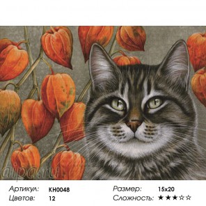 Сложность и количество цветов Мечтатель Раскраска мини по номерам KH0048
