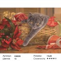 Подарок Раскраска мини по номерам