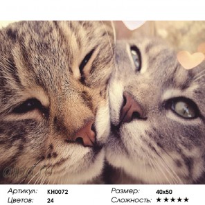  Кошачья любовь Раскраска картина по номерам на холсте KH0072