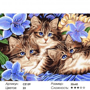  Голубоглазые котята Раскраска картина по номерам на холсте CE139