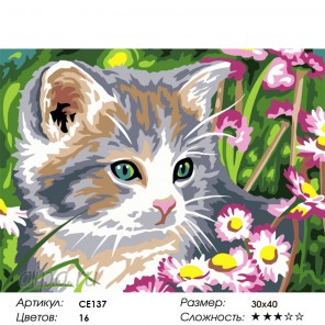  Дымчатый котёнок Раскраска картина по номерам на холсте CE137