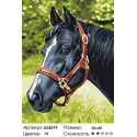 Черный конь Раскраска картина по номерам акриловыми красками на холсте Menglei