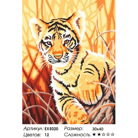Количество цветов и сложность Тигренок в джунглях Раскраска картина по номерам акриловыми красками на холсте Menglei Z-EX5020