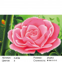 Карамельная роза Алмазная вышивка мозаика