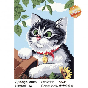  Любопытный котенок Раскраска картина по номерам на холсте ME085