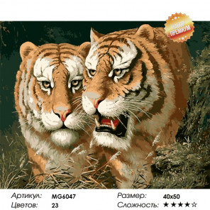  Любовь тигра Раскраска картина по номерам на холсте MG6047