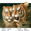 Любовь тигра Раскраска картина по номерам на холсте