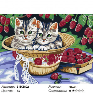  Котята в под малиной Раскраска картина по номерам на холсте Z-EX5802