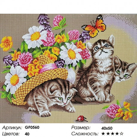Количество цветов и сложность Котята Алмазная мозаика вышивка Painting Diamond GF0560