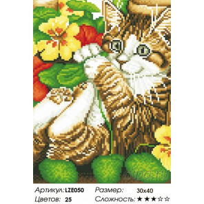  Игривый котенок Алмазная вышивка мозаика LZE050