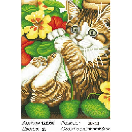 Количество цветов и сложность Игривый котенок Алмазная вышивка мозаика LZE050