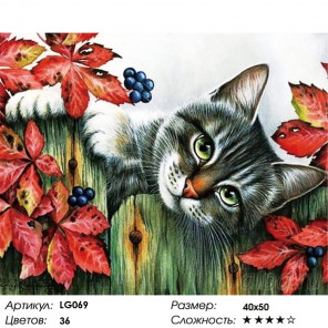  Котенок в саду Алмазная мозаика на подрамнике LG069