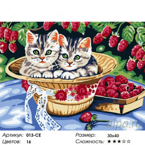 Количество цветов и сложность Котята в саду Раскраска картина по номерам на холсте Белоснежка 013-CE