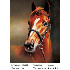 Количество цветов и сложнсоть Каштановая лошадь Алмазная мозаика на подрамнике LG014