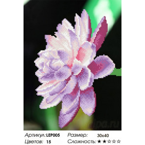  Цветок лотоса Алмазная мозаика на подрамнике LEP005