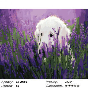 Количество цветов и сложность Собака в цветах Раскраска картина по номерам на холсте ZX 20950
