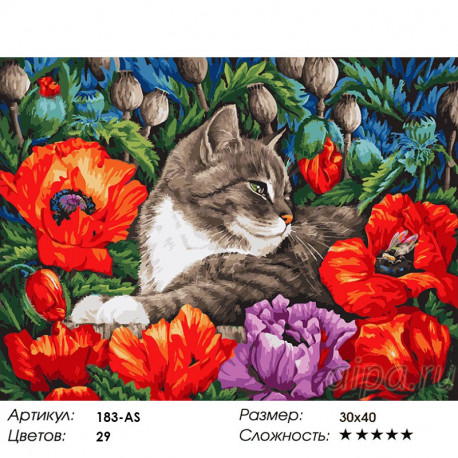 Сложность и количество красок Кот в маках Раскраска картина по номерам на холсте Белоснежка 183-AS