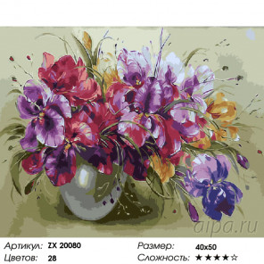  Шарм ириса Раскраска картина по номерам на холсте ZX 20080