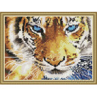  Глаза тигра Алмазная вышивка мозаика на подрамнике  EQ10082