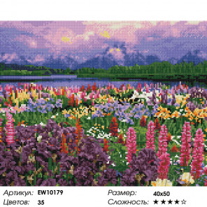  Полевые цветы Алмазная вышивка мозаика на подрамнике  EW10179