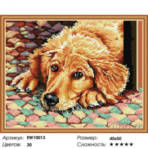  Преданная собака Алмазная вышивка мозаика на подрамнике  EW10013