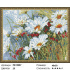 Количество цветов и сложность Поле ромашек Алмазная вышивка мозаика на подрамнике  EW10087