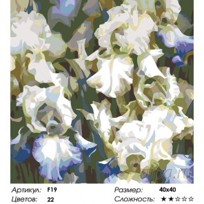 Раскладка Белые ирисы Раскраска картина по номерам на холсте F19