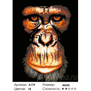 Количество цветов и сложность Портрет обезьяны Раскраска картина по номерам на холсте A179