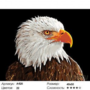Количество цветов и сложность Гордый профиль Раскраска по номерам на холсте Живопись по номерам A420
