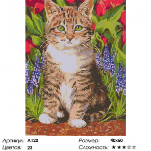  Котенок в весенних цветах Раскраска по номерам на холсте Живопись по номерам A120