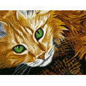 Рыжий кот Алмазная мозаика вышивка Паутинка