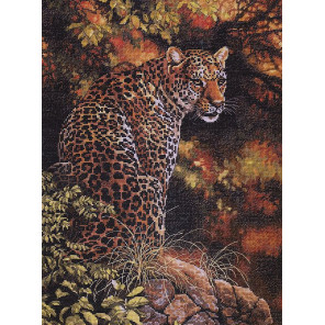 Взгляд леопарда 35209 Набор для вышивания Dimensions ( Дименшенс )