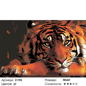  Тигр в уединении Раскраска по номерам на холсте Живопись по номерам Z1795