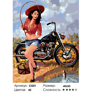  Мотоциклистка Раскраска по номерам на холсте Живопись по номерам Z3201