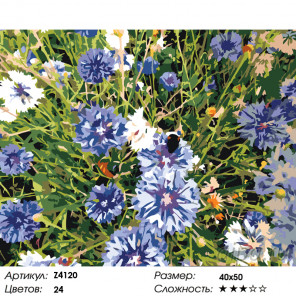 Количество цветов и сложность Васильки Раскраска по номерам на холсте Живопись по номерам Z4120