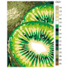 Раскладка Сочное киви Раскраска по номерам на холсте Живопись по номерам D021