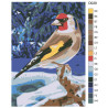 Раскладка Зимняя птица Раскраска по номерам на холсте Живопись по номерам D028