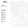 Сложность Зимняя птица Раскраска по номерам на холсте Живопись по номерам D028