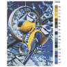 Раскладка Зимние синички Раскраска по номерам на холсте Живопись по номерам D029