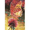 Бабочка на цветке Раскраска по номерам на холсте Живопись по номерам D06